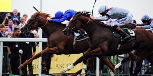 Dawn Approach and Toronado at Royal Ascot