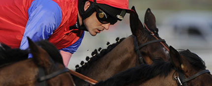 Horse Racing betting odds