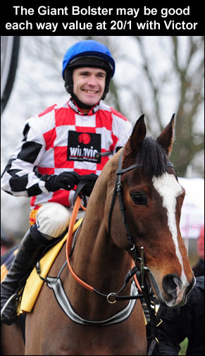 The Giant Bolster Cheltenham Gold Cup